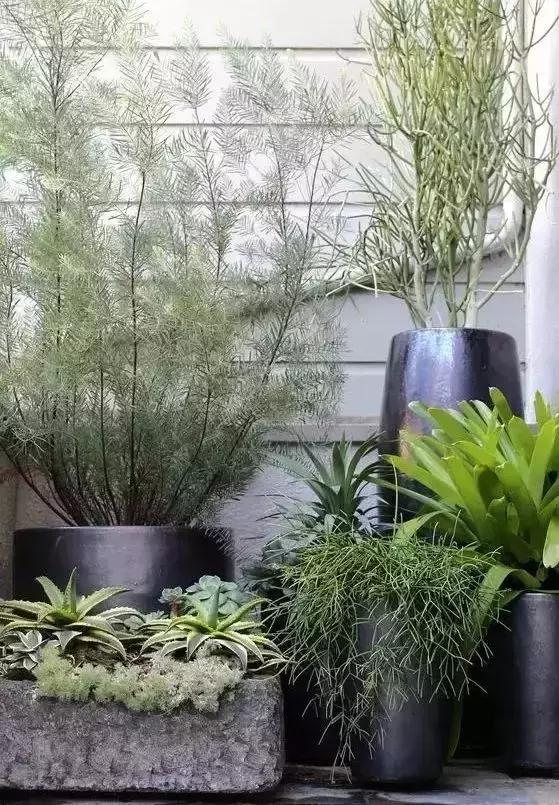 如果你有別墅，下面的私家花園一定要好好看看！