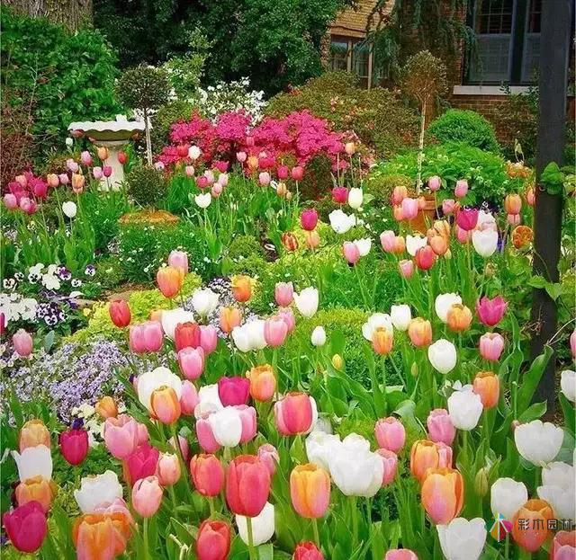 這樣子的庭院花園施工維護，花鏡美的不要不要的！