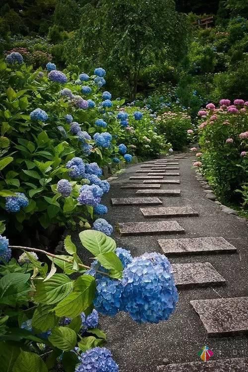 這樣子的庭院花園施工維護，花鏡美的不要不要的！