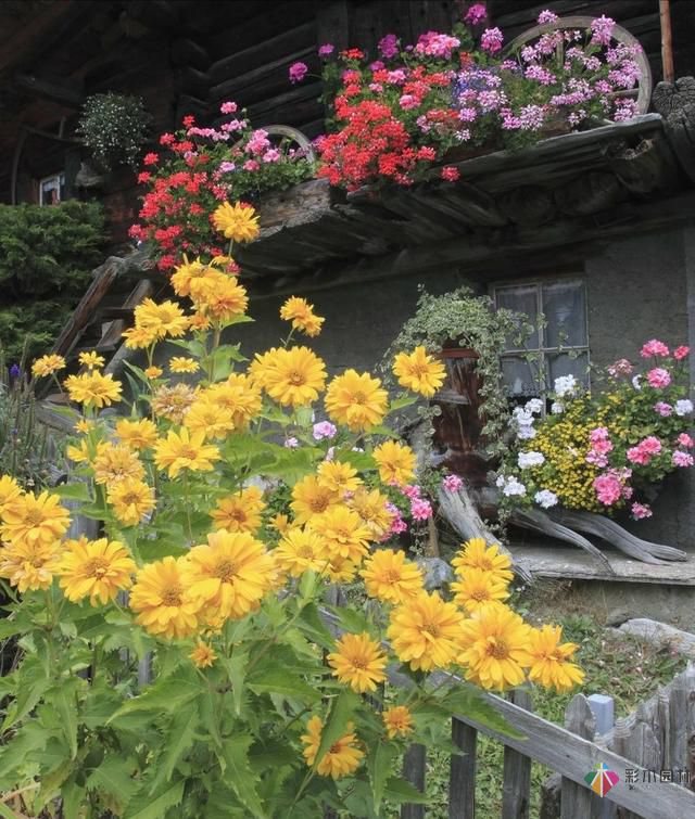 這樣子的庭院花園施工維護，花鏡美的不要不要的！