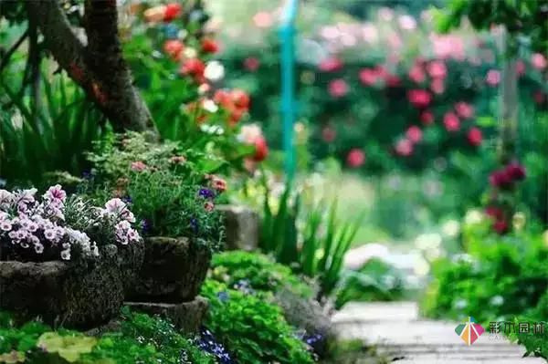 這樣子的庭院花園施工維護，花鏡美的不要不要的！
