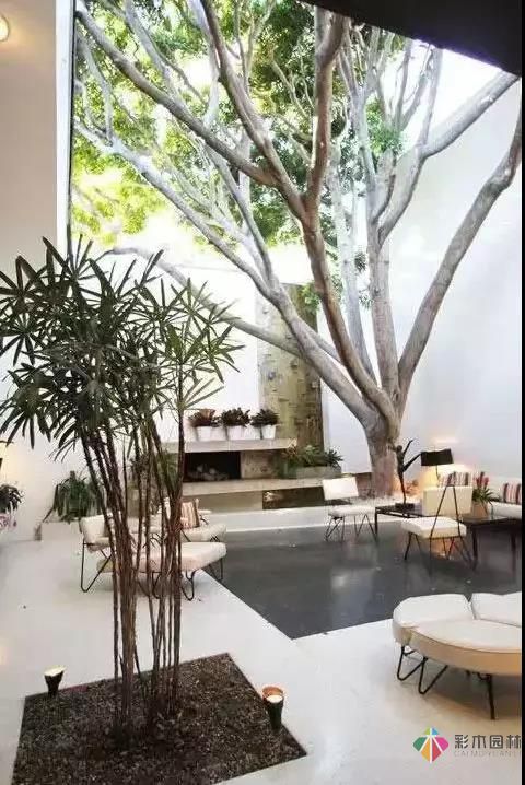 讓人心動的庭院設(shè)計，可不可以不要這么美