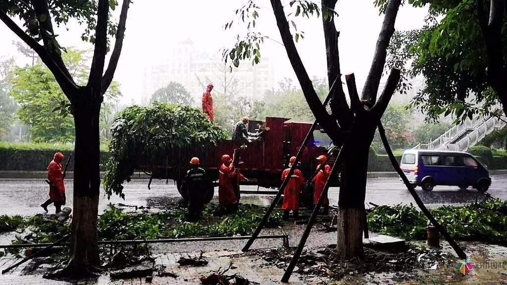 夏季雨季園林景觀工程施工要注意哪幾點？
