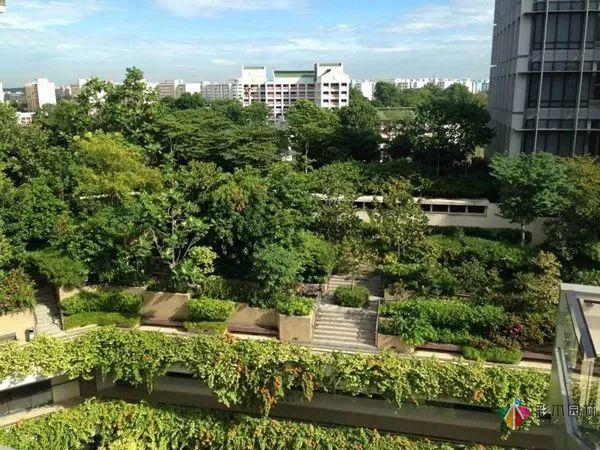  100款屋頂花園露臺(tái)設(shè)計(jì)，看了真的好心動(dòng)啊！