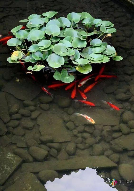 庭院花園設計怎么少的了水景？