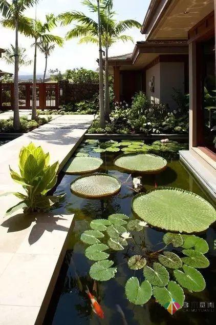 庭院花園設計怎么少的了水景？