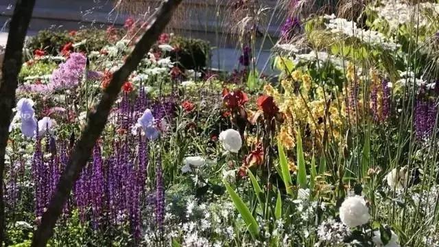 花園庭院設計中植物該怎么設計？