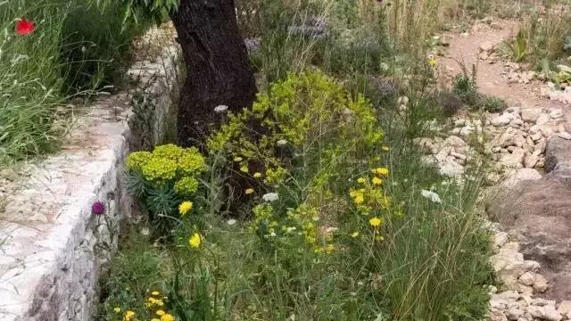 花園庭院設計中植物該怎么設計？