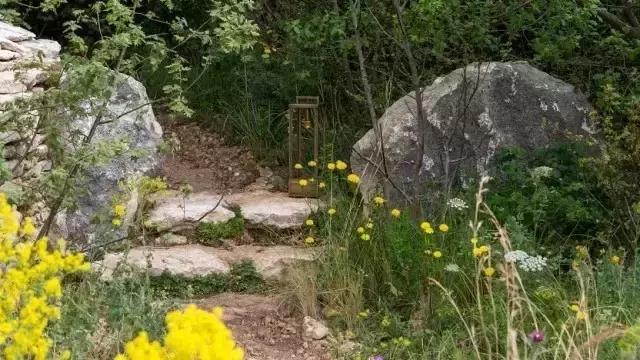 花園庭院設計中植物該怎么設計？