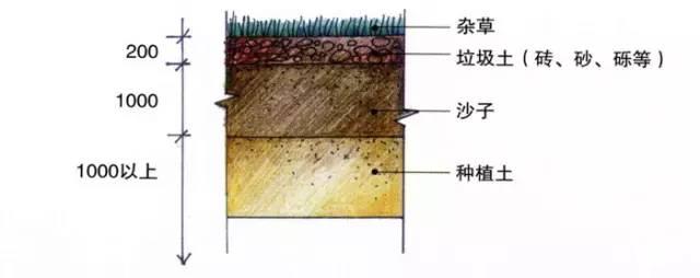 詳細(xì)的花園庭院設(shè)計(jì)流程對(duì)你肯定有幫助!