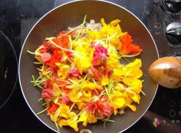 15個容器蔬菜花園設計看得我真的好想要！