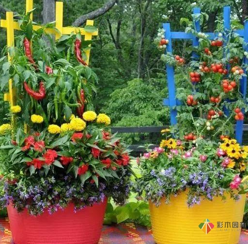 15個容器蔬菜花園設計看得我真的好想要！