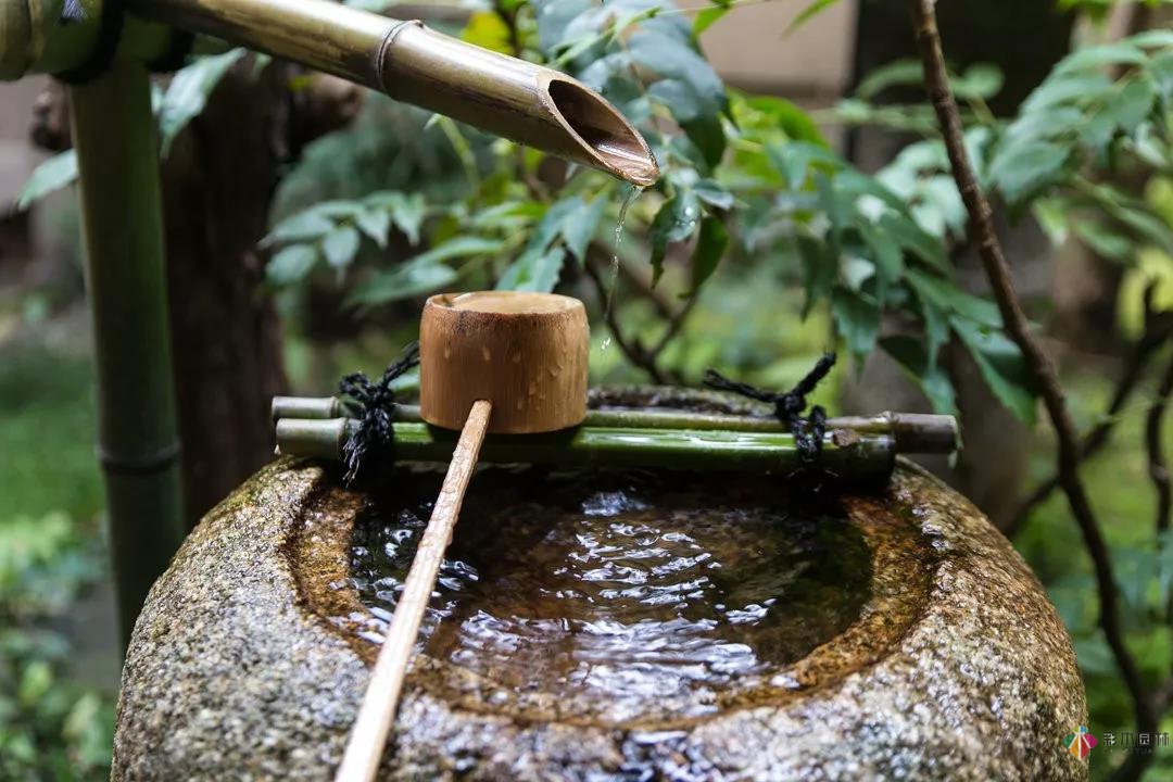 花園水景設計和養護要點基本的都在這里了！