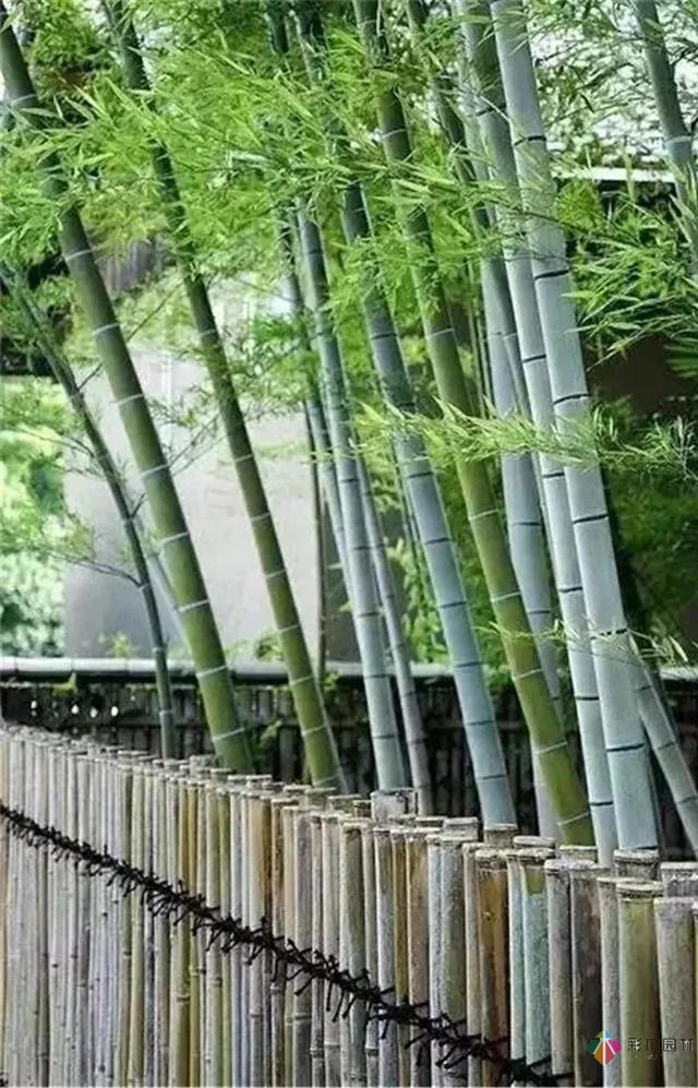 田園式花園景觀設計，這些鄉土元素必不可少