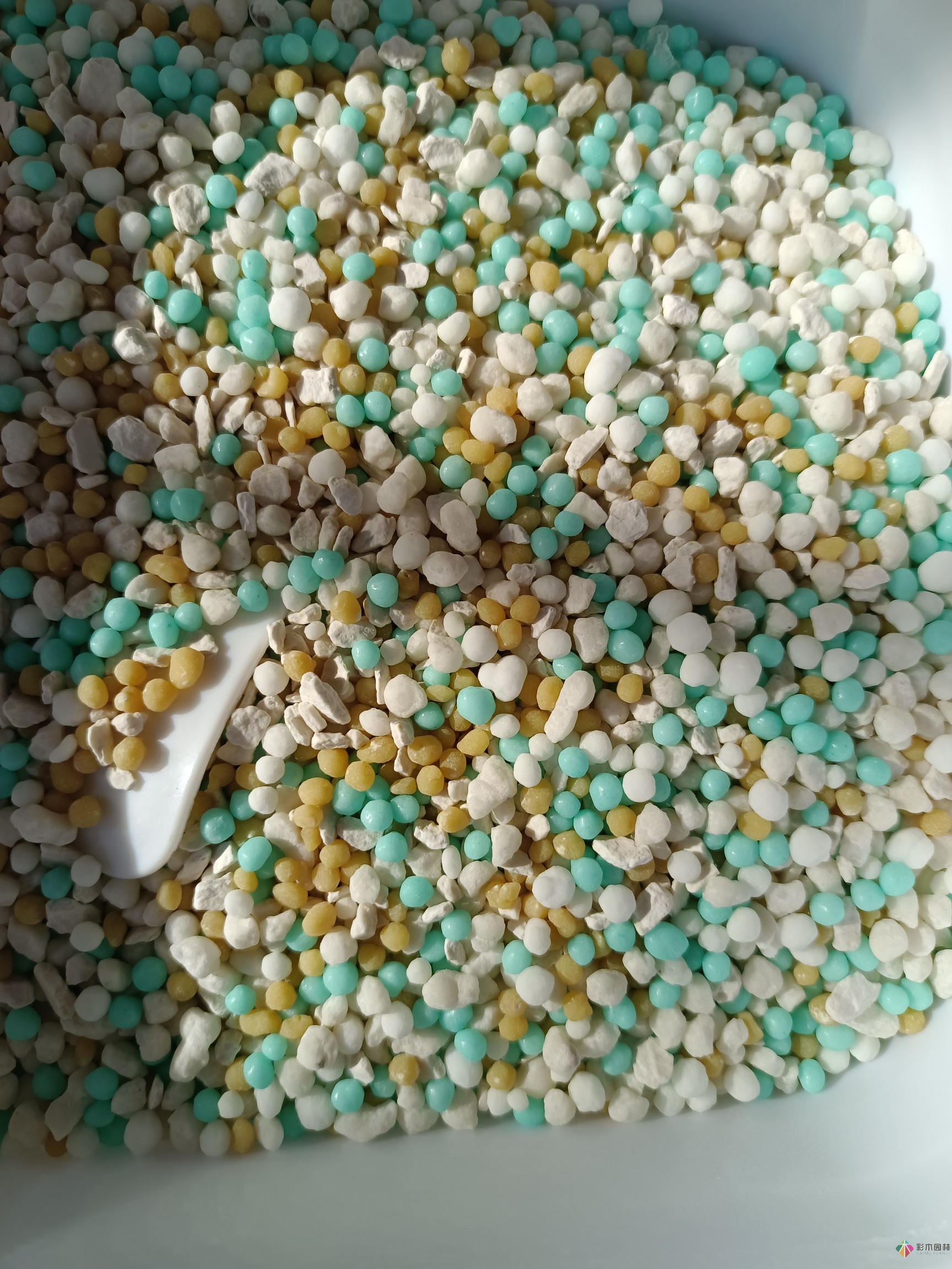 80㎡迷你陽臺，小療系花園，70盆花，美不勝收。