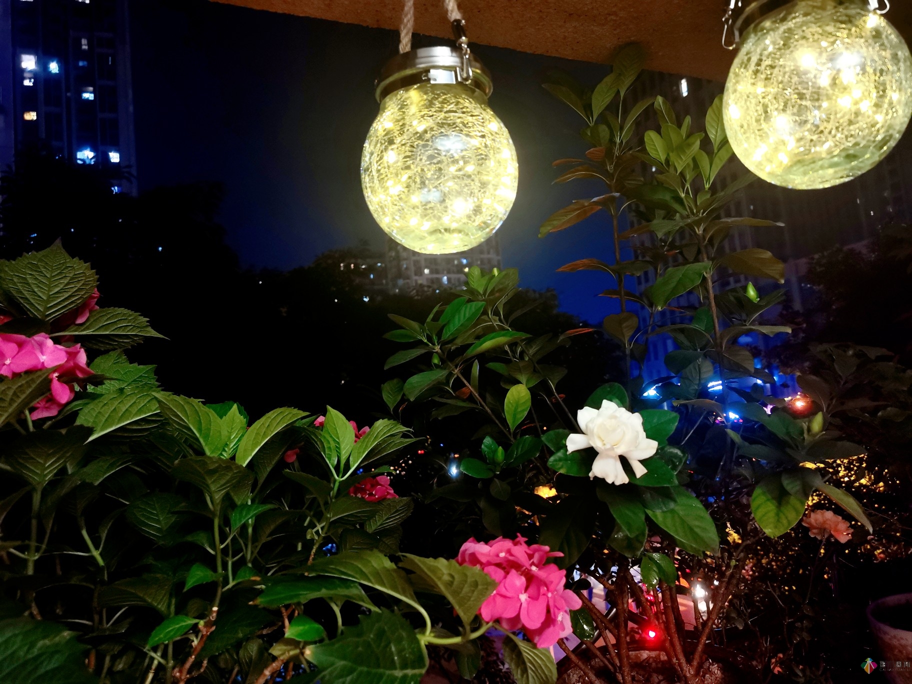 8平米開放式陽臺，DIY變身自己的秘密花園，好美！
