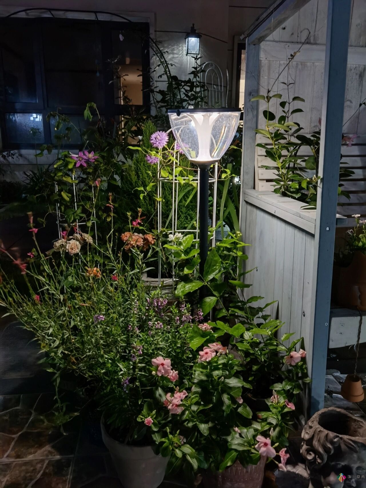 不顧父母反對，買了一層110㎡的院子，自己一個人折騰成花園。就這么治好了。
