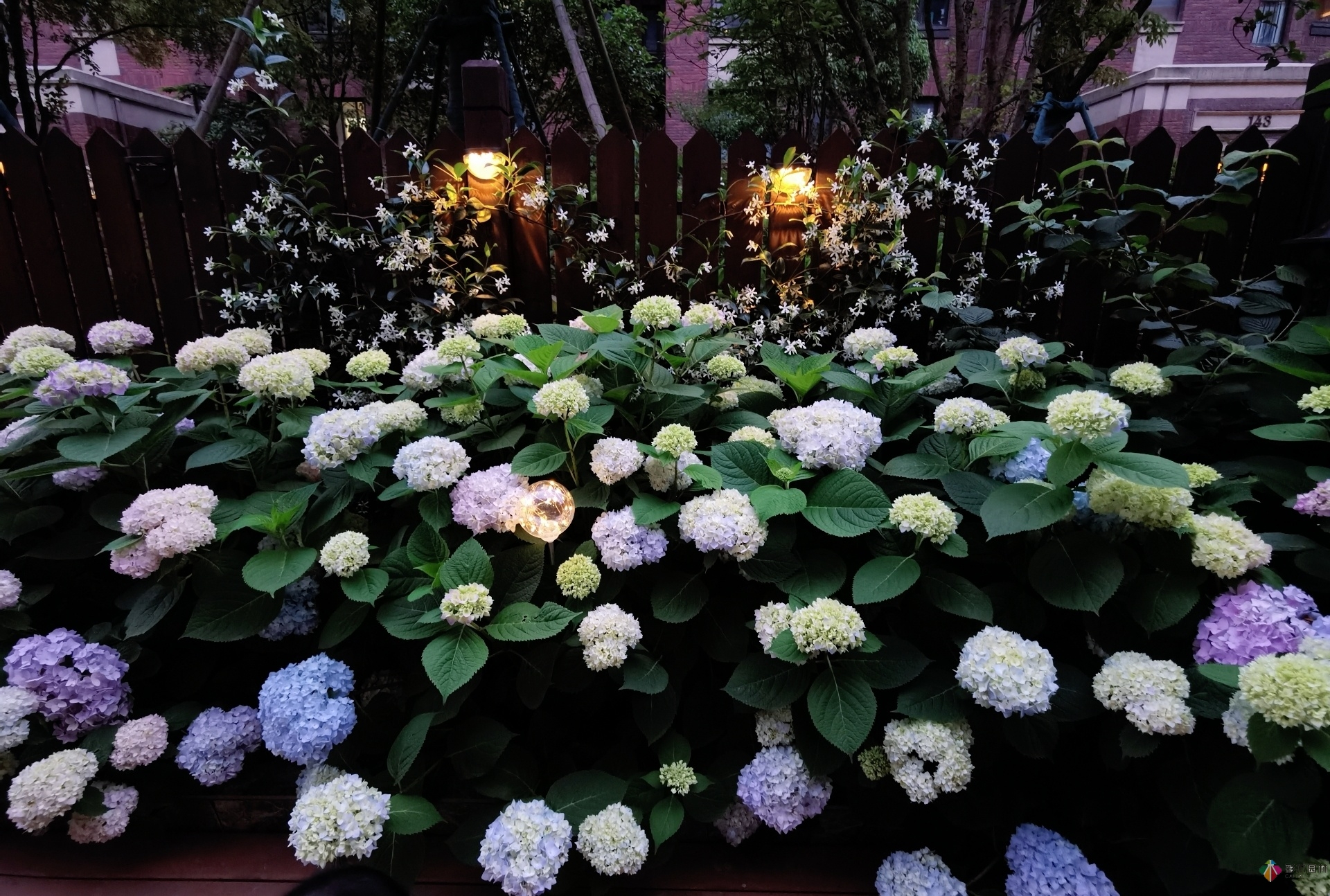 不顧父母反對，買了一層110㎡的院子，自己一個人折騰成花園。就這么治好了。
