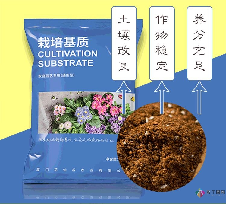 不顧父母反對，買了一層110㎡的院子，自己一個人折騰成花園。就這么治好了。
