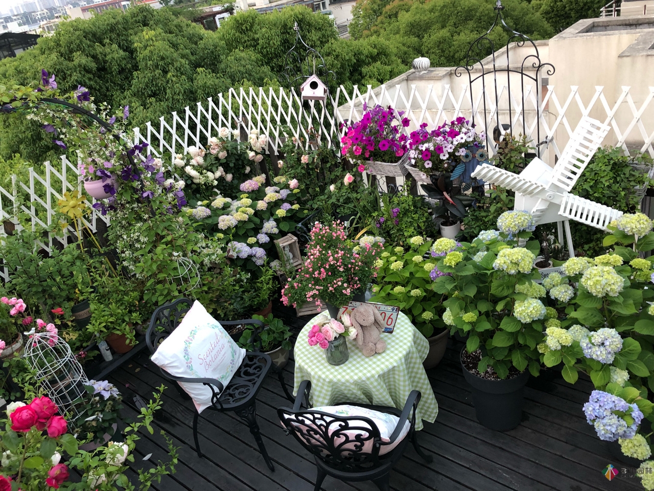 花了4年時間搭建了13㎡的屋頂露臺花園，每個角落都美如畫