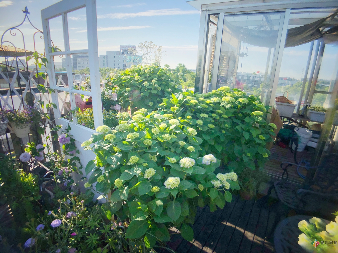 花了4年時間搭建了13㎡的屋頂露臺花園，每個角落都美如畫