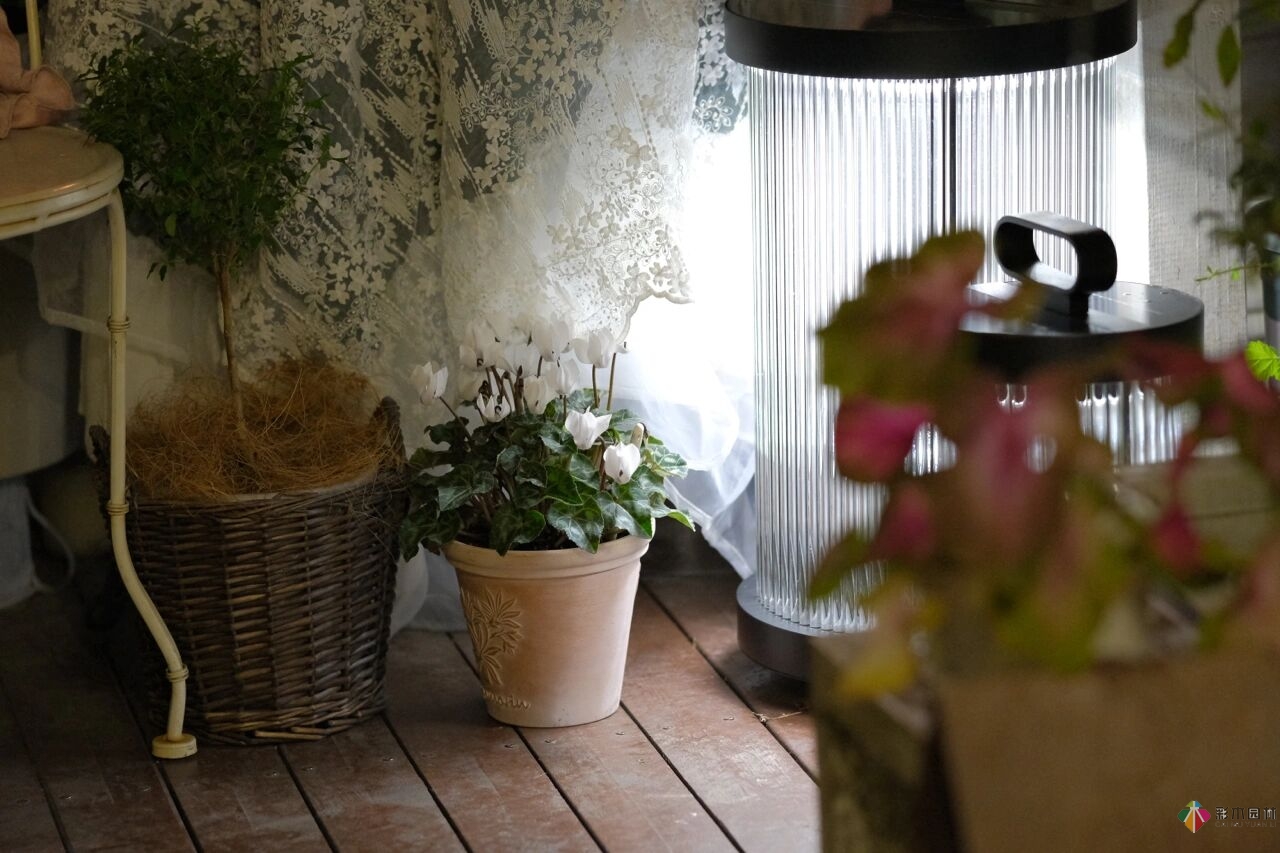 花了4年時間搭建了13㎡的屋頂露臺花園，每個角落都美如畫