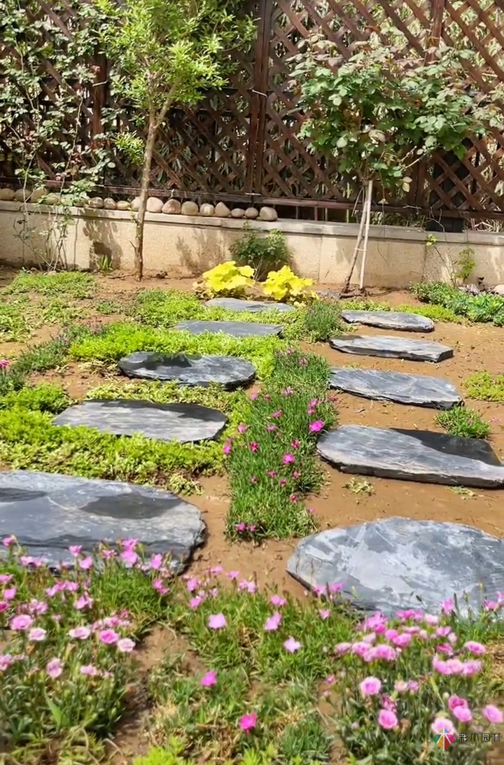 4個幫助你建造無蚊別墅的妙招花園 庭院